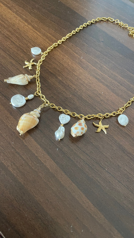 Seashell Belly Chain