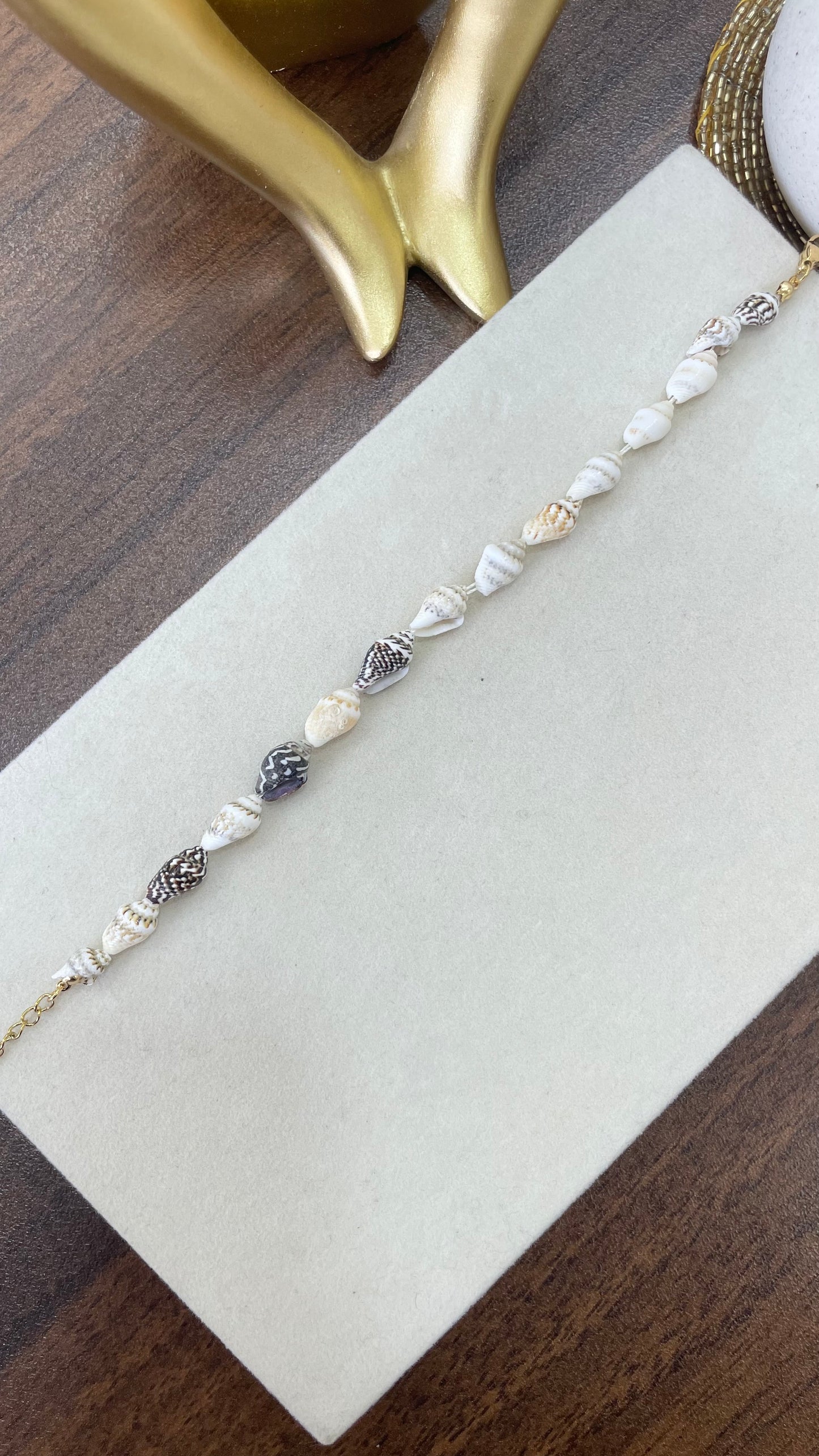 Coquina Anklet