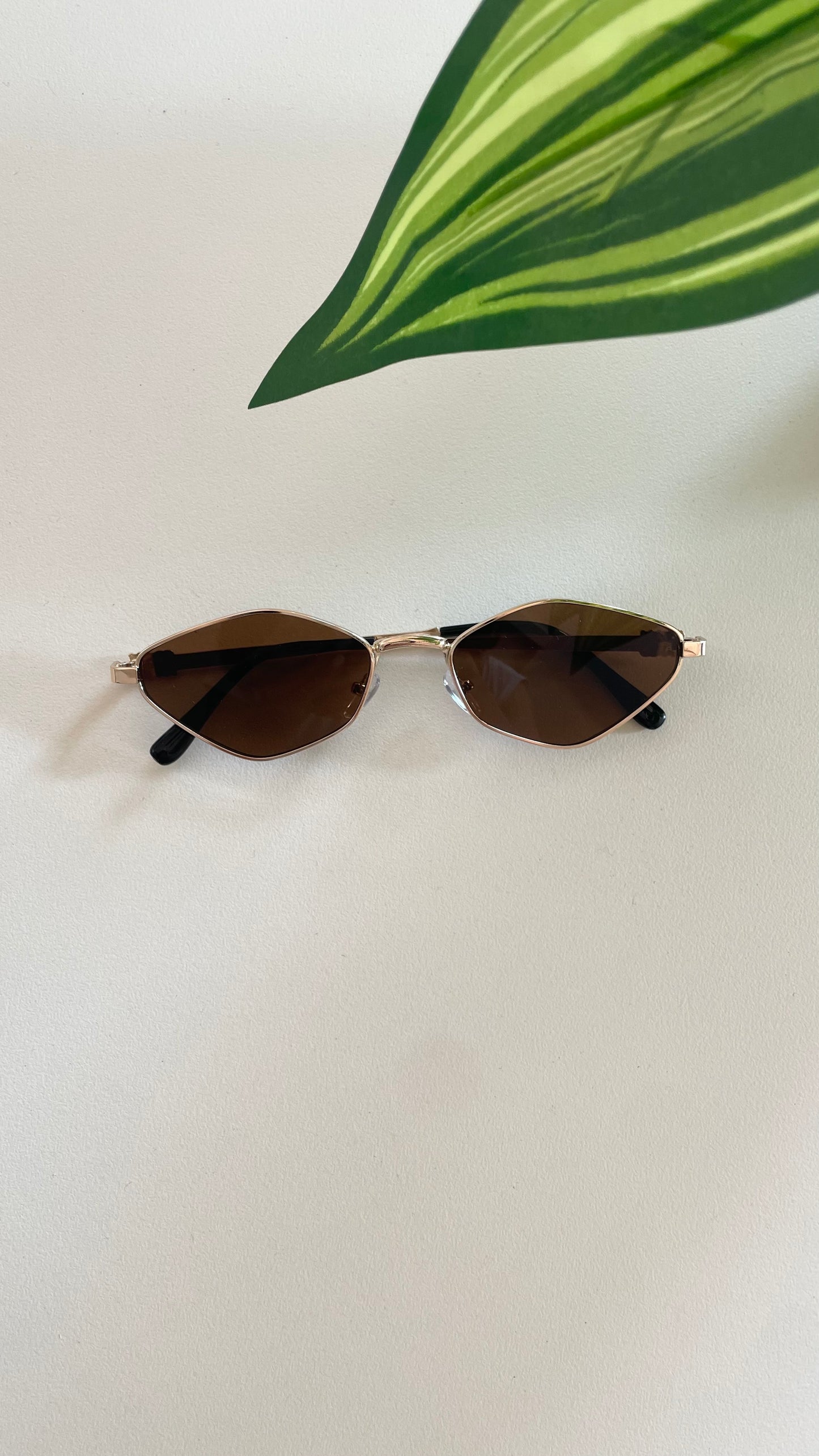 Solara Sunglasses
