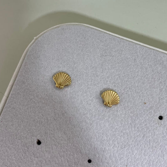 Seashell Earrings