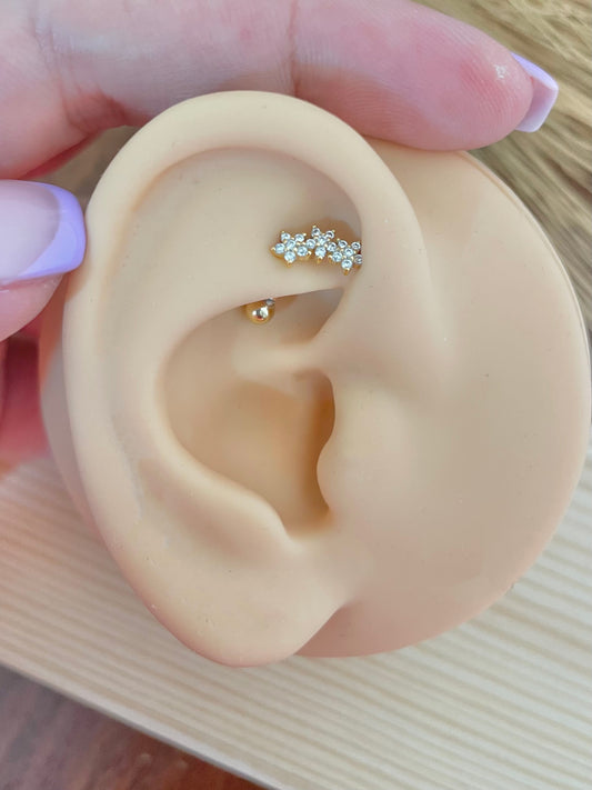 Destiny Ear Piercing