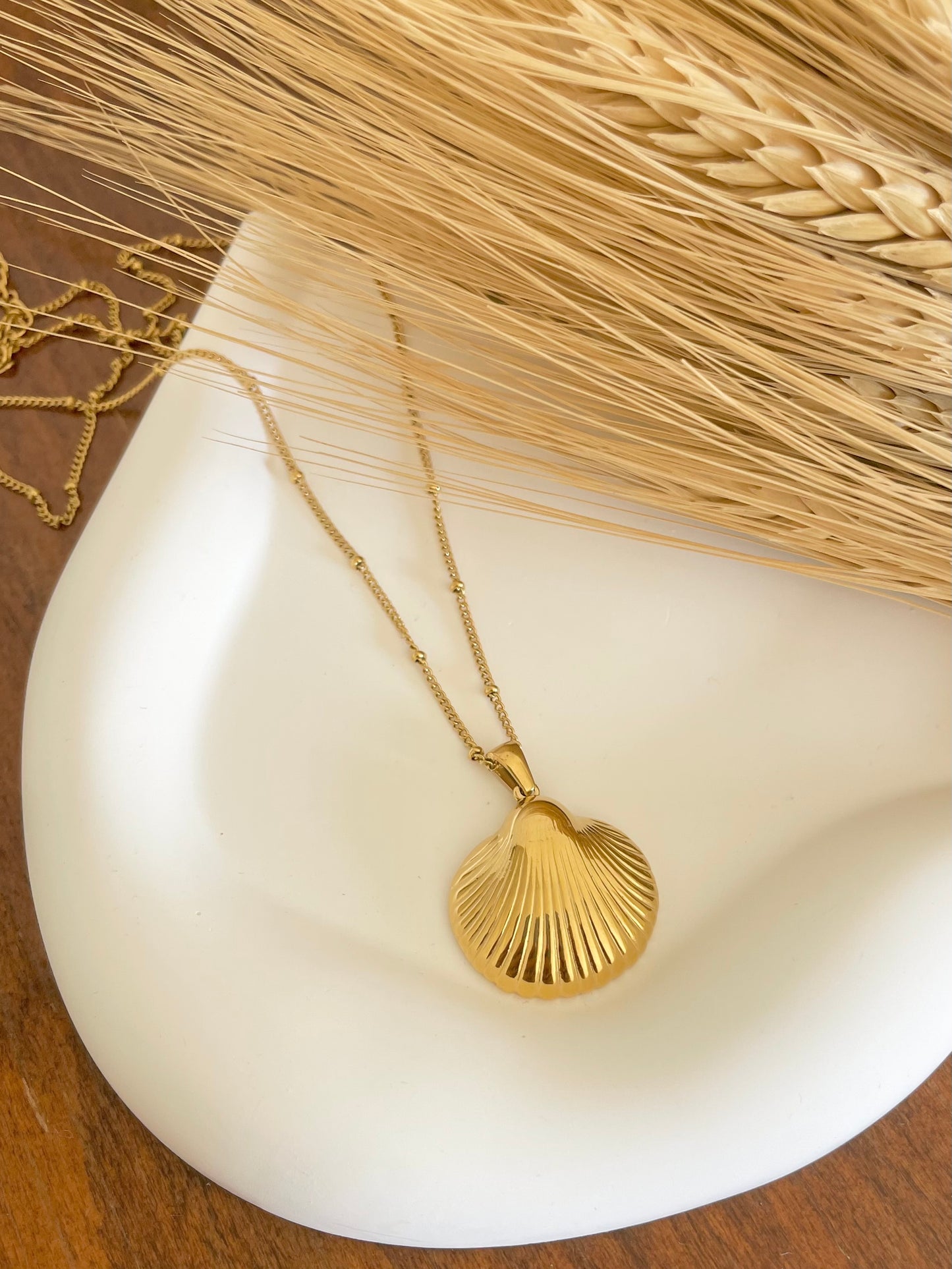 Sea Shell Necklace