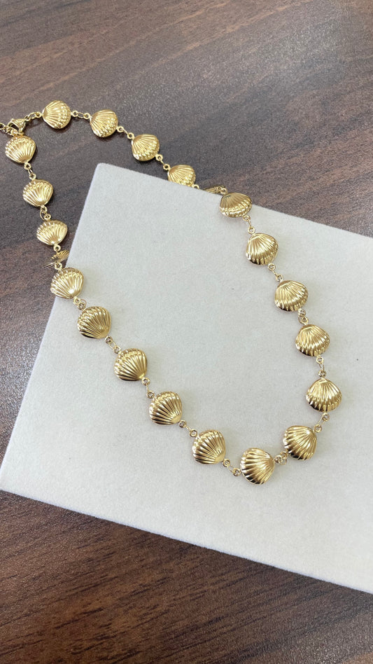 Seashell Necklace