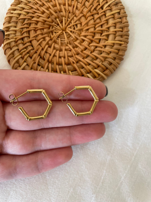 Swingies Earrings