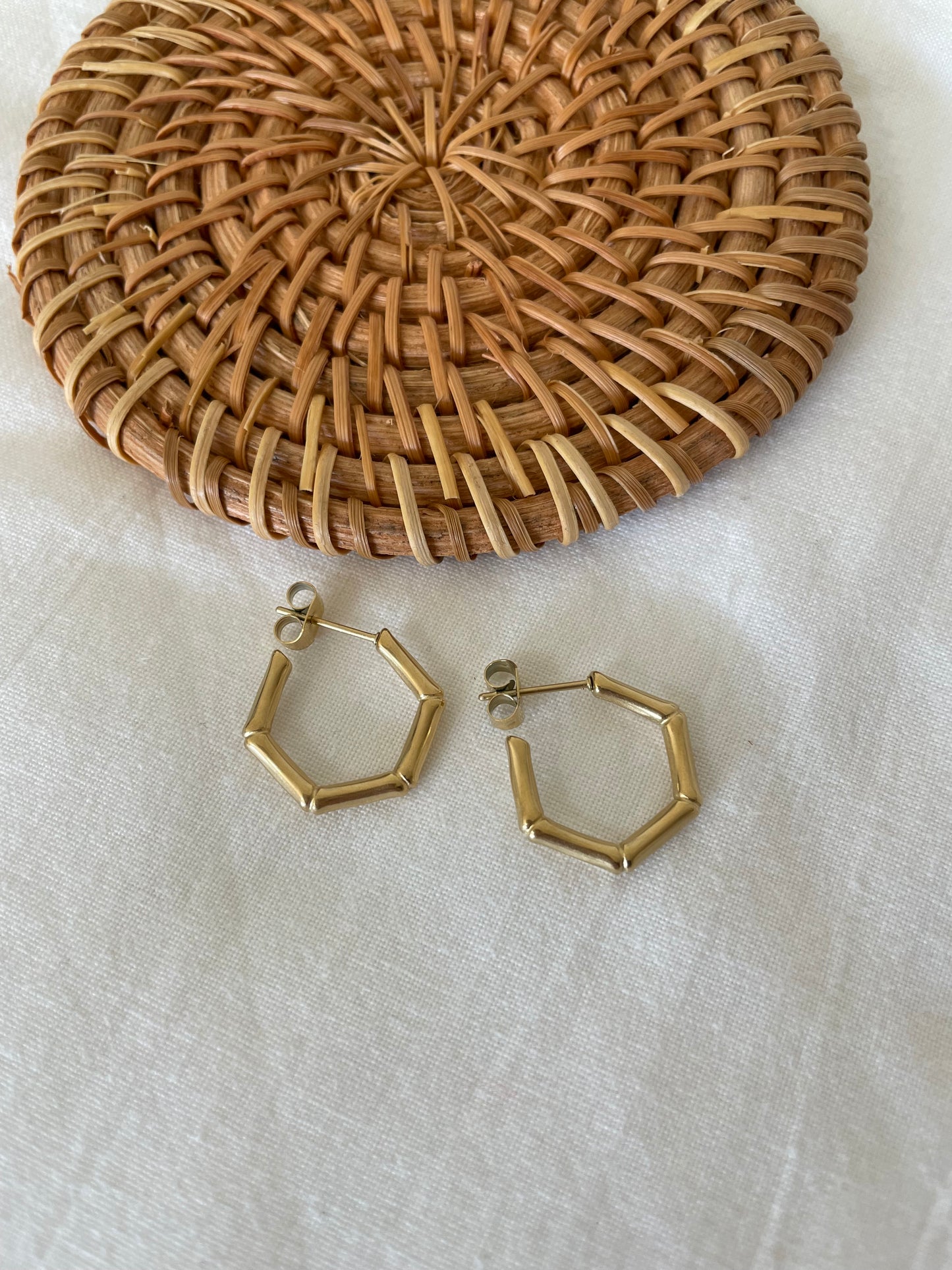 Swingies Earrings