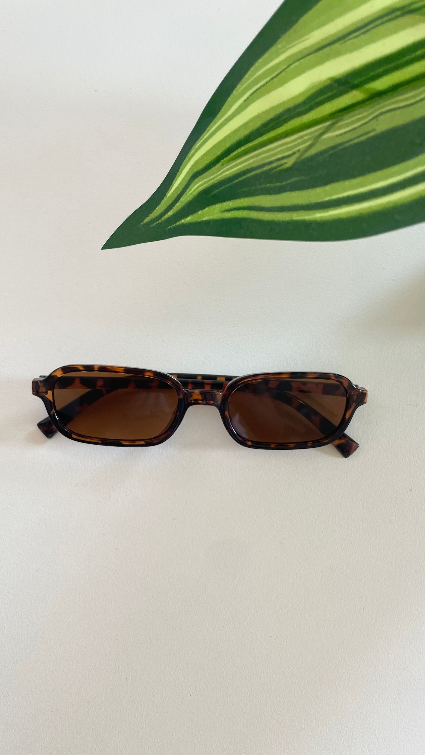 Zephyr Sunglasses