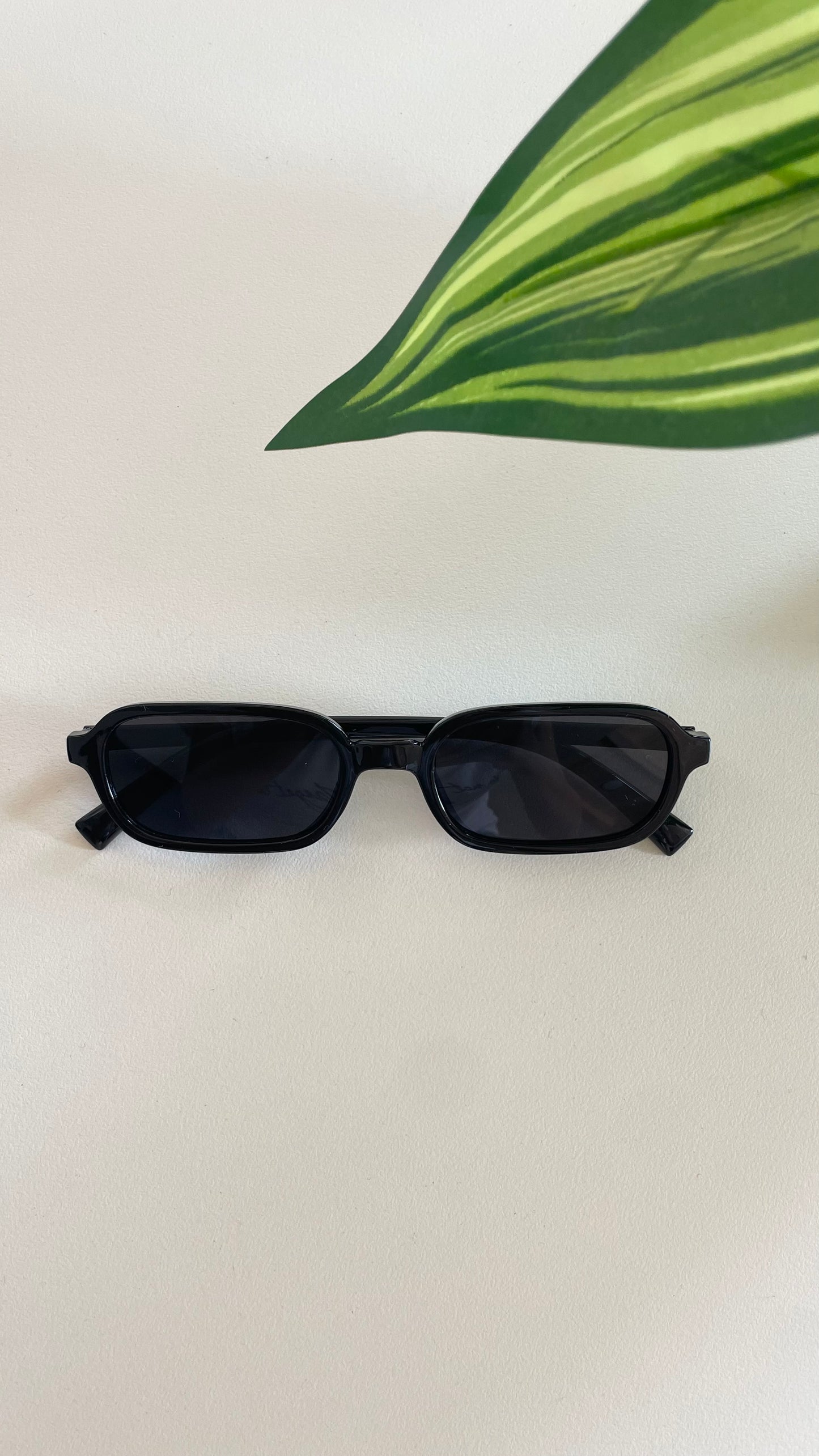 Zephyr Sunglasses